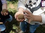 DSCN8586.jpg