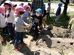 DSCN7463.jpg