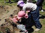 DSCN7483.jpg