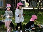DSCN7495.jpg