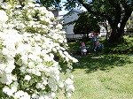 DSCN7499.jpg