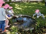 DSCN7501.jpg