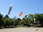 DSCN7521.jpg
