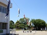 DSCN7624.jpg