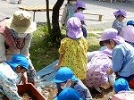 DSCN7672.jpg