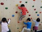 DSCN7703.jpg