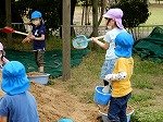 DSCN8088.jpg