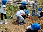 DSCN8134.jpg