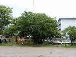 DSCN8205.jpg