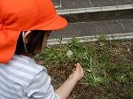 DSCN8617.jpg