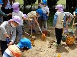 DSCN8633.jpg