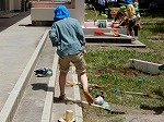 DSCN8662.jpg