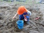 DSCN8961.jpg