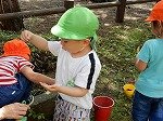 DSCN8972.jpg