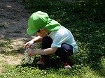 DSCN0100.jpg
