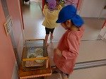 DSCN1066.jpg