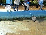 DSCN9454.jpg