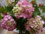 DSCN0361.jpg
