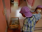 DSCN1071.jpg