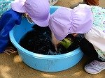 DSCN9473.jpg