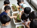 DSCN9657.jpg
