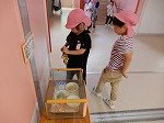 DSCN1061.jpg