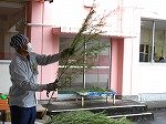 DSCN2349.jpg
