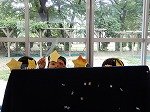 DSCN2401.jpg