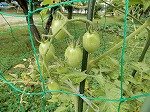 DSCN2610.jpg