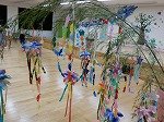 DSCN2223.jpg