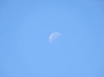 DSCN5004.jpg