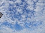 DSCN4653.jpg