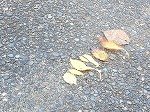 DSCN3976.jpg