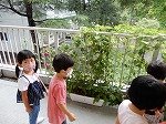 DSCN3210.jpg