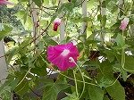 DSCN3213.jpg