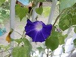 DSCN3215.jpg
