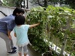 DSCN3221.jpg