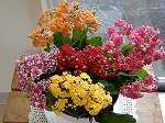 DSCN3241.jpg