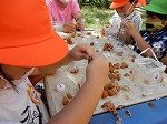 DSCN4515.jpg