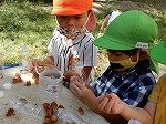 DSCN4516.jpg