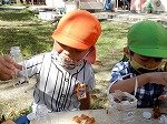 DSCN4518.jpg