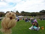 DSC01249.jpg