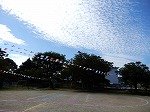 DSCN5920.jpg