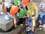 DSCN6239.jpg