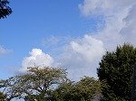 DSCN6240.jpg