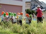 DSCN6256.jpg