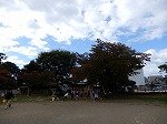 DSCN7518.jpg