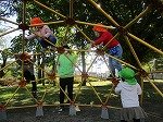 IMG_1290.jpg