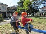 IMG_1352.jpg