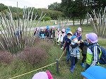 IMG_2166.jpg